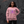 Women's Welcome to the Bay Sweater